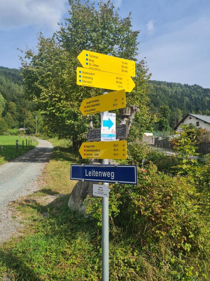 Aparts Lakeview -Gerlitzen -Ossiacher See -Ski Tratten  외부 사진