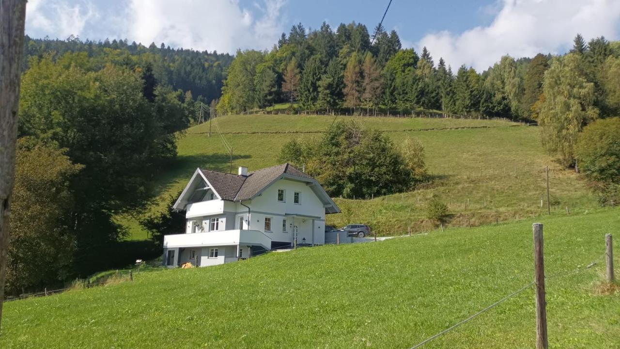 Aparts Lakeview -Gerlitzen -Ossiacher See -Ski Tratten  외부 사진
